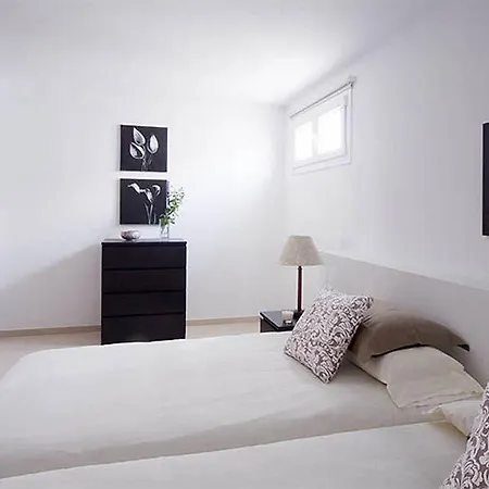 Coral Puerto del Carmen (Lanzarote)